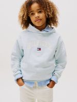 Polerón Universitario Gorro Logo Celeste Tommy Hilfiger