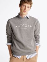 Polerón Solid Con Logo Gris Tommy Hilfiger