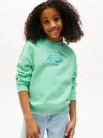 Polerón Con Logo Metalizado Verde Tommy Hilfiger