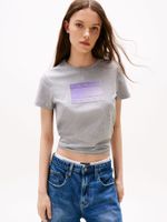 Polera Con Logo Degradado Gris Q13 Tommy Jeans