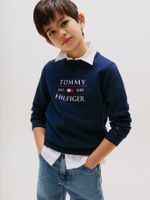 Polerón Con Logo Azul Tommy Hilfiger