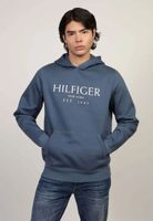 Polerón Hoodie Con Logo Azul Tommy Hilfiger