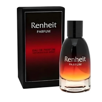 Perfume Renheit Parfum Fragrance World EDP Hombre 100 ml