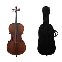 Violoncello Livorno 4/4 Lic761b