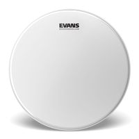 Parche 14¨ UV2 CTD Evans