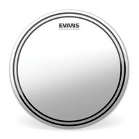Parche 10¨ EC2 CTD SST Evans