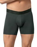 Leo Boxer Masculino Largo 033300N Gris Elástico Verde