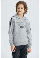 Polerón Niño Básico Print Gris Melange - ll