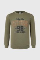 Polerón Niño Básico Con Print Verde