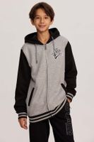 Polerón Niño Tipo College Gris