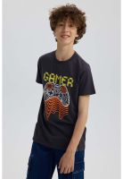 Polera Niño Básica Estampada Marengo - ll