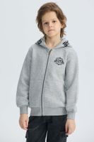 Polerón Niño Con Cierre Gris Melange