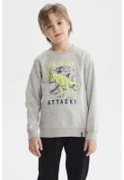 Polerón Niño Básico Toddler Gris Melange