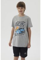 Polera Niño Básica Estampada Gris Melange- ll
