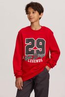 Polerón Niño Básico Print Rojo