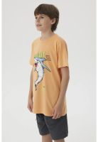 Polera Niño Básica Estampada Naranjo- ll