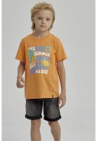 Polera Niño Básica Estampada Naranjo - lV