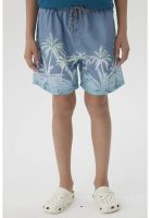 Short de Baño Niño Básico Gris