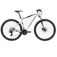 Bicicleta Sunpeed Zero Aro 29 Plata