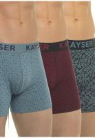 Pack 3 Bóxer Algodón P393.275-VER