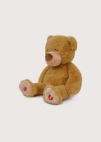 Peluche Dreampal Oso