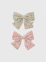 Pack 2 Pinche Cinta Niña Multicolor