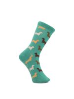 Calcetín Algodón C Dachshund Verde Niño