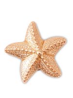 Jibbitz Estrella De Mar Dorada