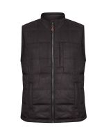 Chaqueta Poliéster Hombre Aspen Café