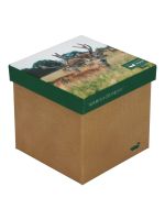 Calcetín Bambú Mujer Pack Gift Bam Multicolor