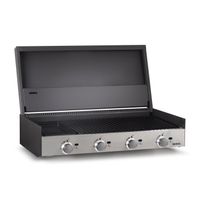 Parrilla para Quincho Block a gas 1000