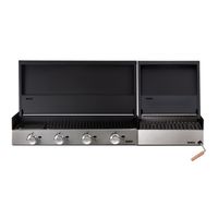 Pack para Quincho Block Gas 1000 + Block Carbón 500