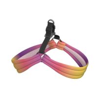 ARNÉS PARA MASCOTAS PIDAN®PET - MEDIANO