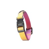 Pidan - Collar de Perro - S3