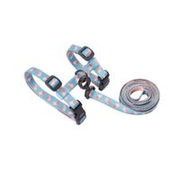 Arnés Y Correa Para Gato Ajustable Cómodo Seguro - Pidan®