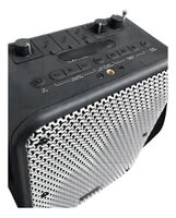 Parlante Karaoke 5 25 30Watts Bluetooth 5 3 MGFREESTYLE Master G