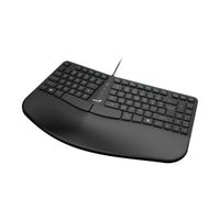 Teclado Genius Ergonometrico Copilot Palm Rest USB KB-700