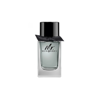 Perfume Mr Burberry Edt 100ML Hombre