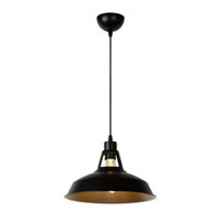 Lámpara Colgante Brassy Negro 1xE27