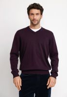 Tejido Hombre Parrot Morado