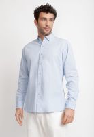 Camisa Lisa Algodón Basilio Celeste