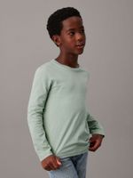 Polera Niño Chest Monologo Verde Calvin Klein