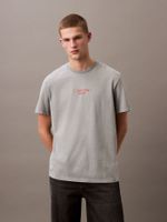 Polera Acid Wash Graphic Gris Calvin Klein