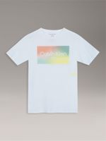 Polera Niño Gradient Box Para Niño Blanco Calvin Klein
