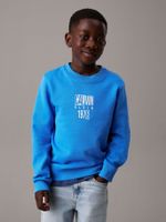 Polerón Niño Good Level Graphic Azul Calvin Klein