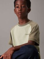 Polera Niño Color Block Verde Calvin Klein