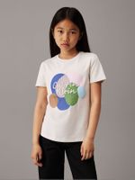 Polera holgada gráfico multicolor Beige Calvin Klein