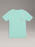 Polera Niño Con Bolsillo Para Niño Verde Calvin Klein