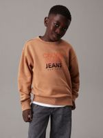 Polerón Niño Gradient Flock Logo Café Calvin Klein