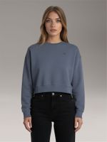 Polerón Archive- Logo Gris Calvin Klein